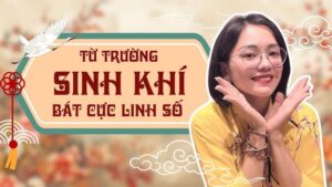 Sinh khí là gì? Giải mã trường năng lượng Sinh Khí trong Bát Cực Linh Số và ý nghĩa khi xuất hiện trong số điện thoại